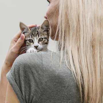 Limpieza de tuberías profesional en Lleida